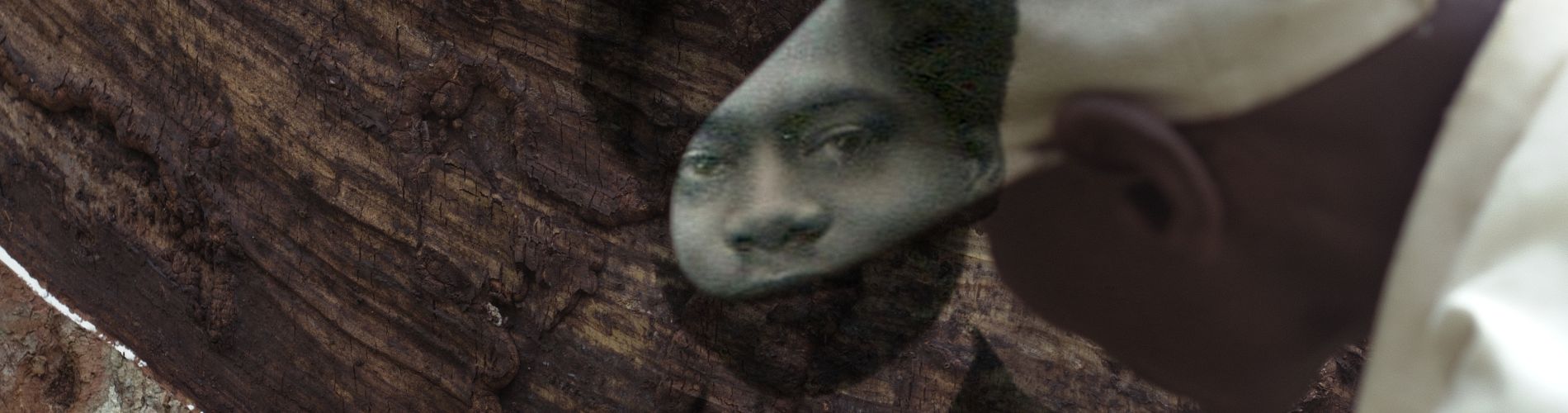 The Tree of Authenticity