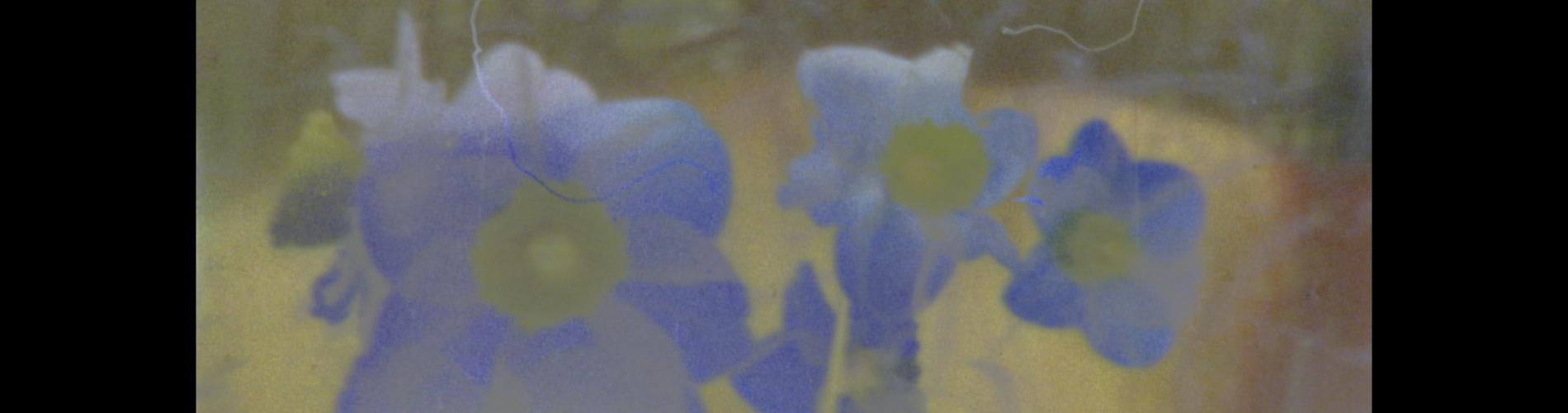 Spring Song