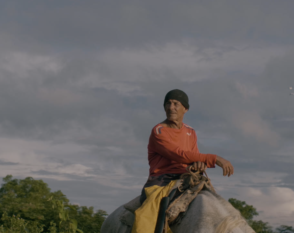 And the storm dreamed of horses