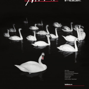 Kliknutím zvětšíte Best Festival Poster 2016-2017 (Festival Identity Award, Audience Award): Beldocs International Documentary Film Festival