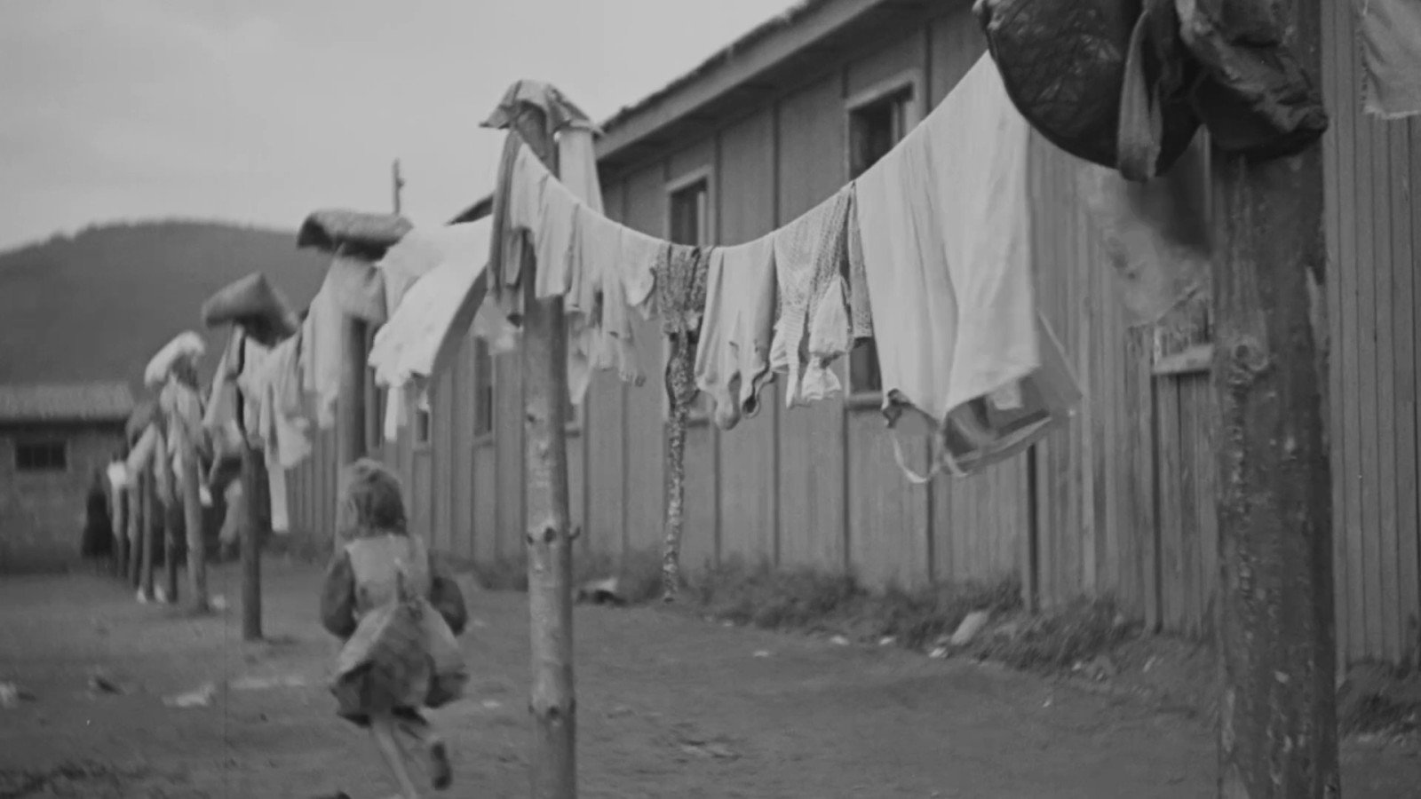 Z filmu <b><i>Na vrcholcích všech bukových hor</i></b>
