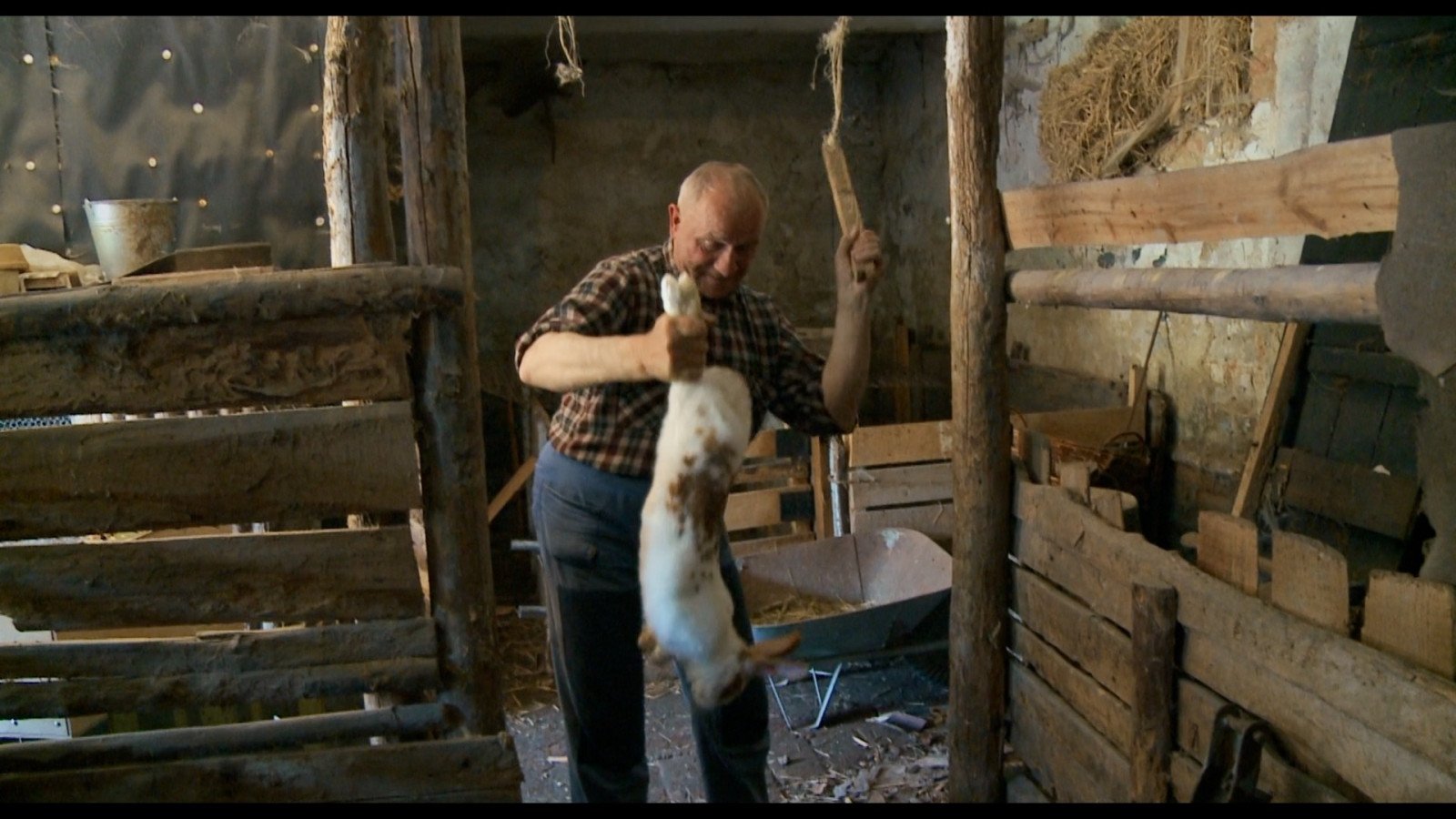 Z filmu <b><i>Vyhrát musí předseda</i></b>