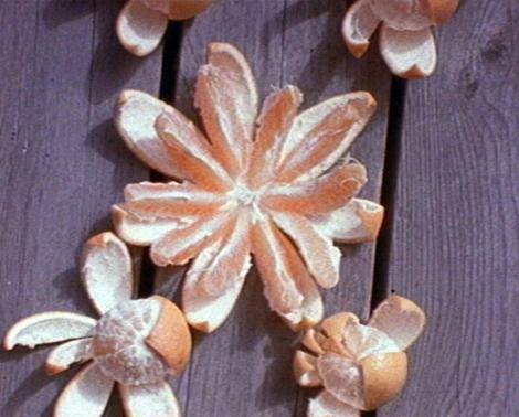 Experiments with food