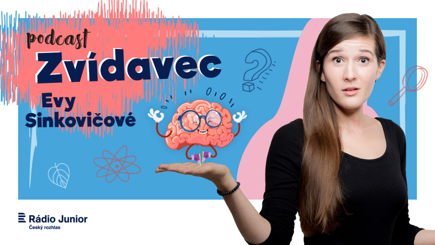 Zvídavec of Eva Sinkovič Live!