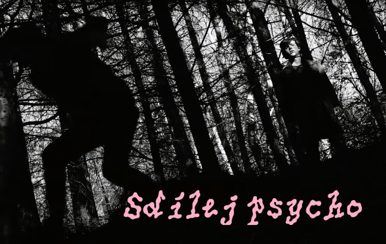 SHARE THE PSYCHO - Ji.hlava Vibes' Open Call Student Films / screening