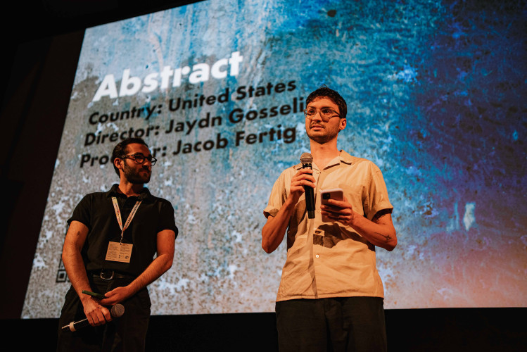 JI.HLAVA NEW VISIONS FORUM II. Projects in Production & Post-production