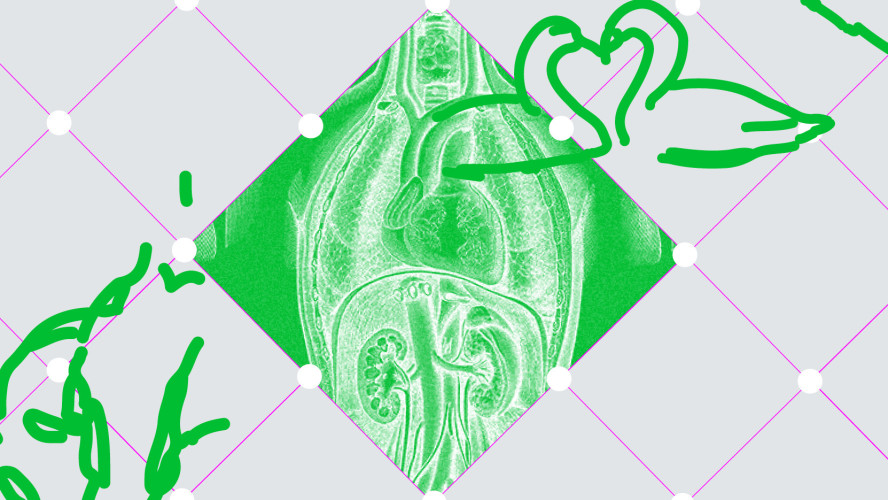 Love Between Us: Living Poetry