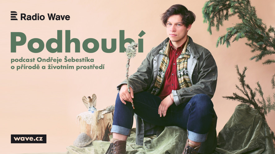 Radio Wave: Podhoubí