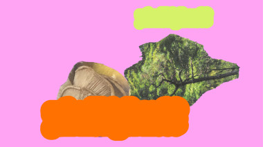 Haptic Forest Spa / Moss, pine needles, insects on your shoulder