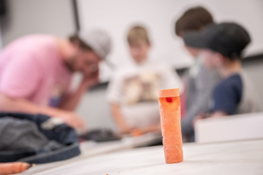 Play the Carrot as a Fiddle / workshop for children 10+