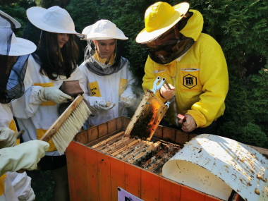 Butterfly, Bumblebee, Bee Create Our Nature / workshop for children 6+