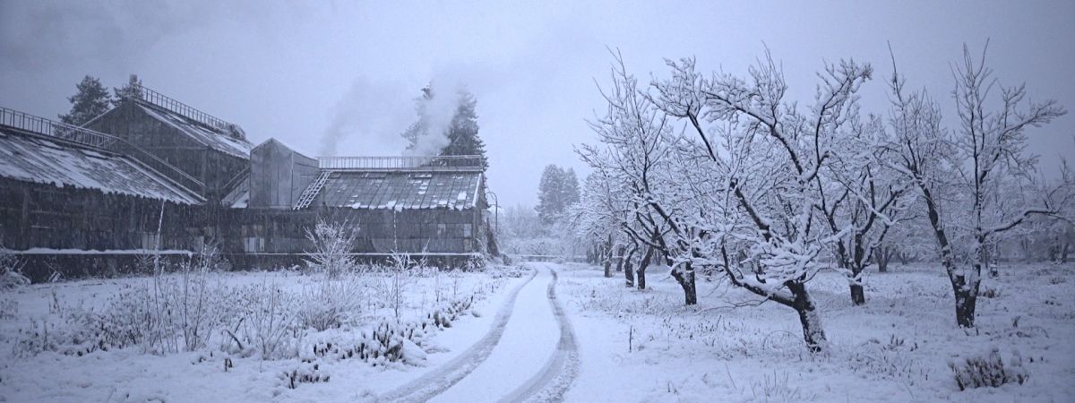 The Winter Garden's Tale