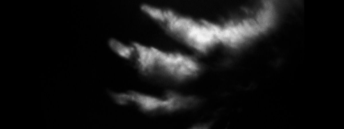La Notte Salva