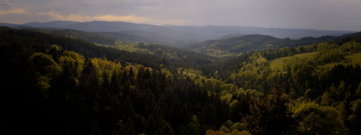 Kings of Šumava