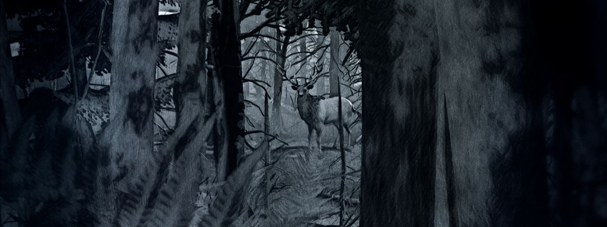 Kings of Šumava