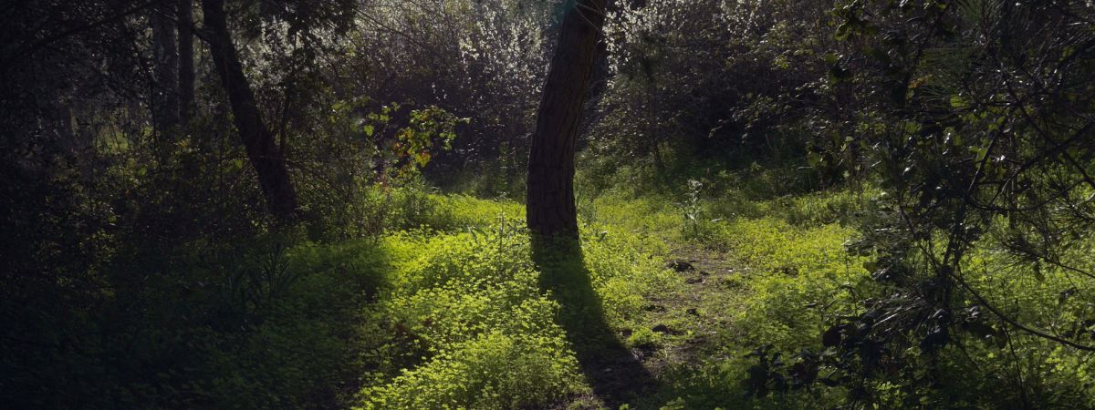 Terraforming