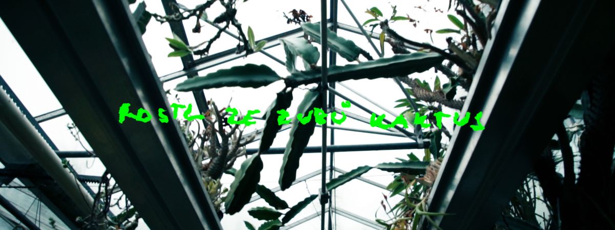 Botanical