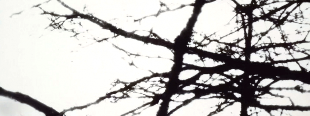 Our Purgatory