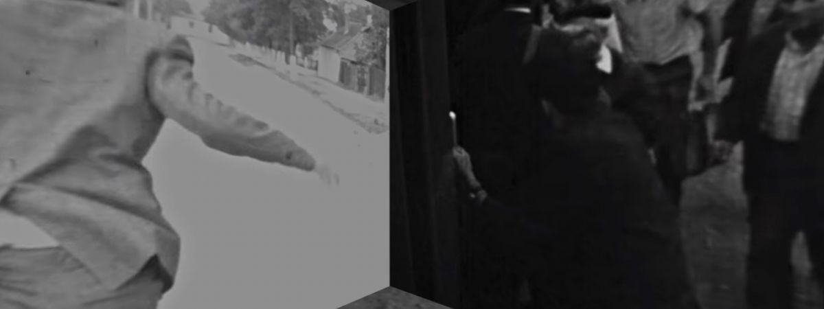 Schrödinger’s cat is lost in a VR box