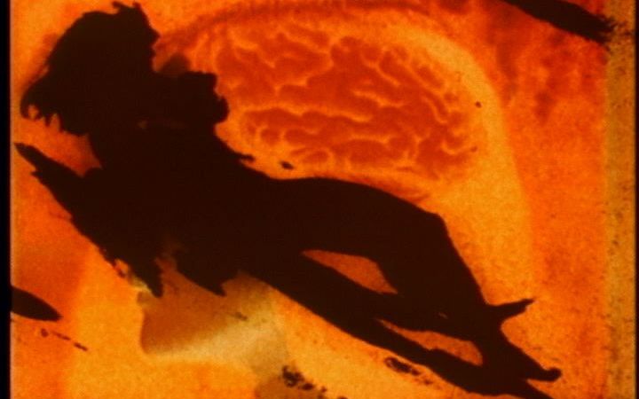The House of Science: A Museum of False Facts
