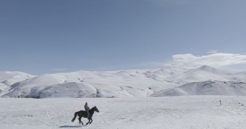 5 Dreamers and a Horse