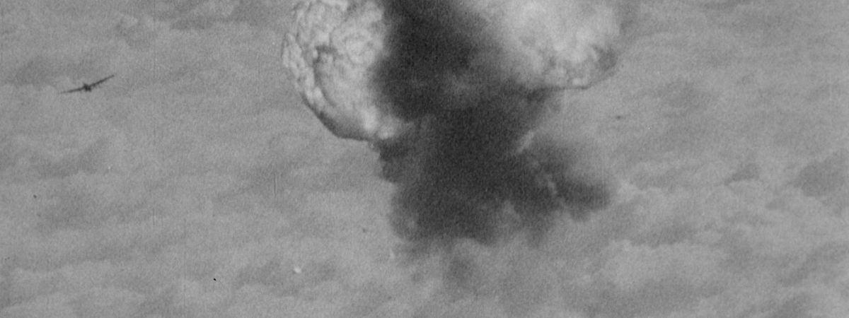 The Natural History of Destruction
