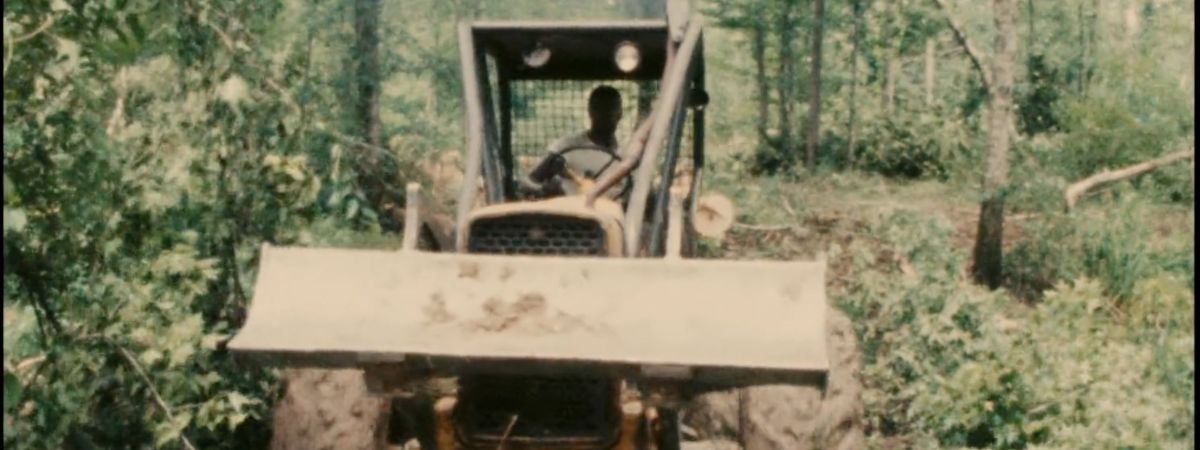 Woodcutters of the Deep South