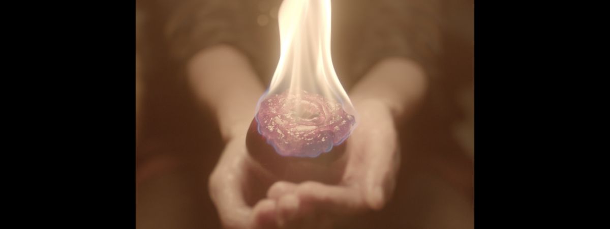 I Was Made From Burning Apples