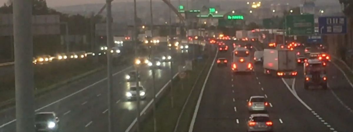 how much is it uncomfortable for dogs to step out on a highway?