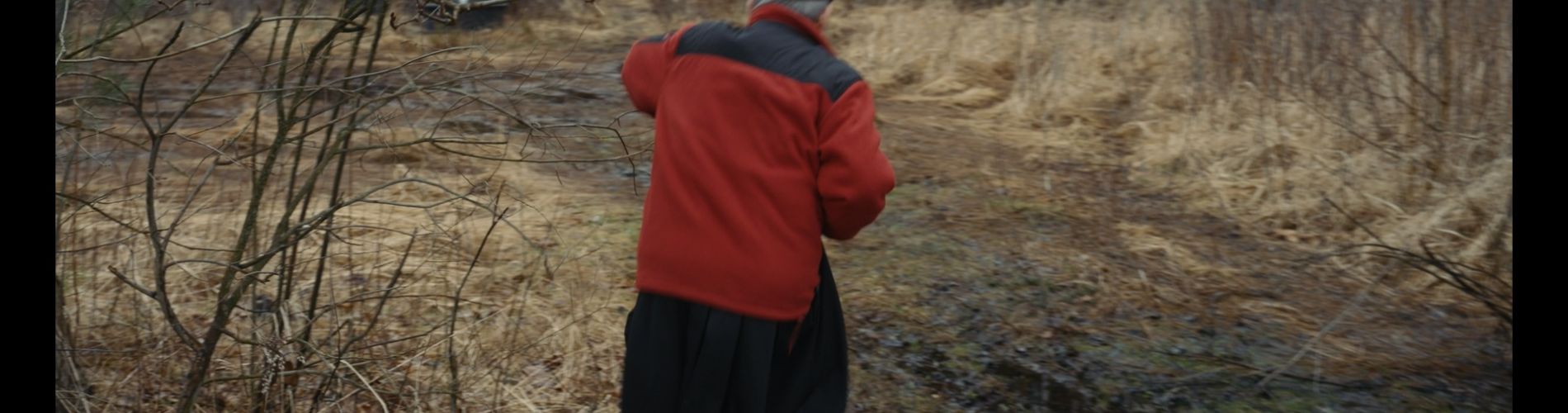 Poland versus History