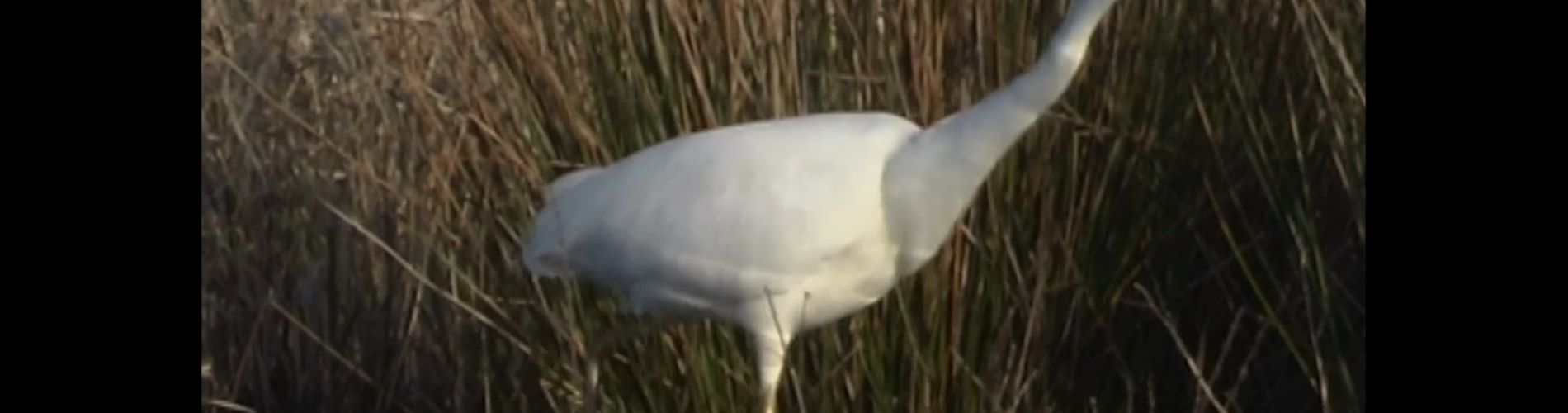 We Had Fun Yesterday