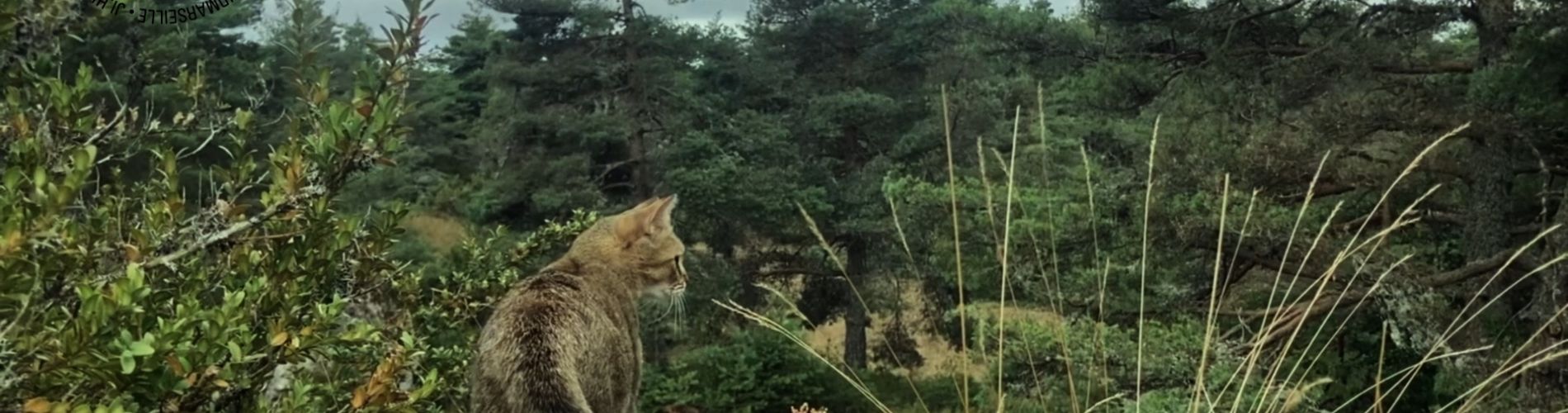 We Had Fun Yesterday