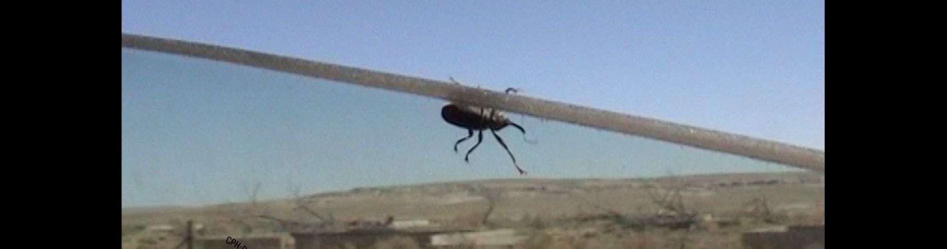 We Had Fun Yesterday