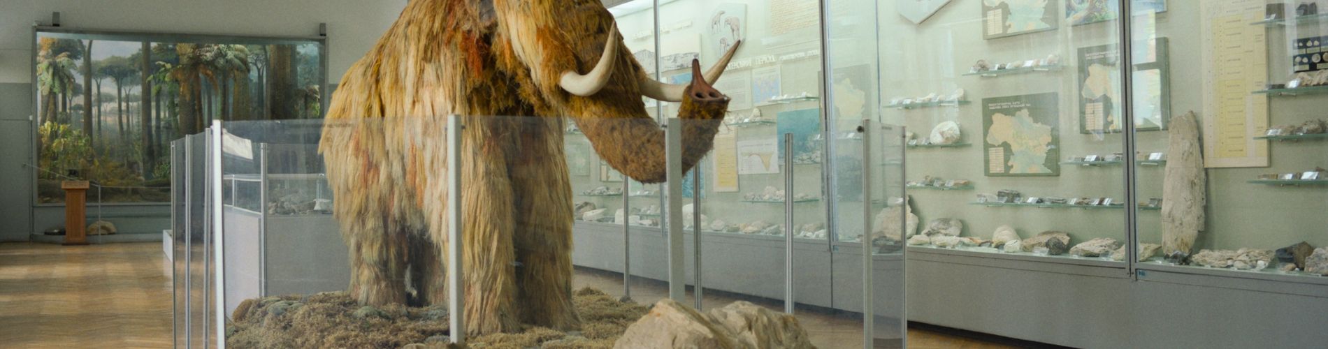 Paleontology Lesson