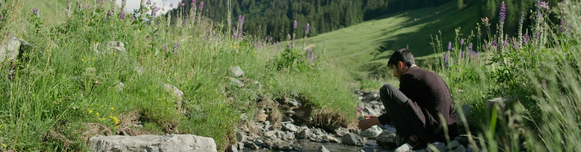 Bürglkopf