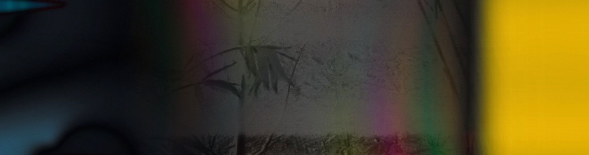 The Garden of Electric Delights