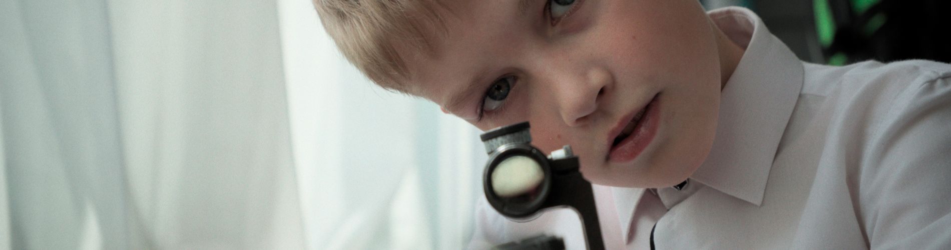 Mr. Nobody Against Putin
