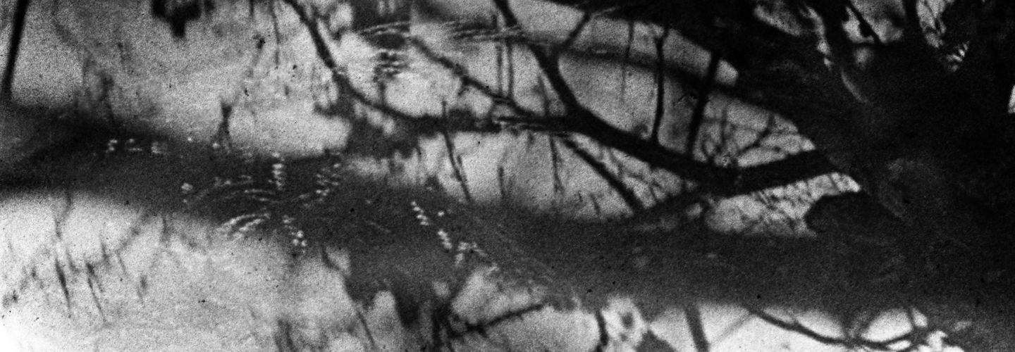 monolithic tenderness