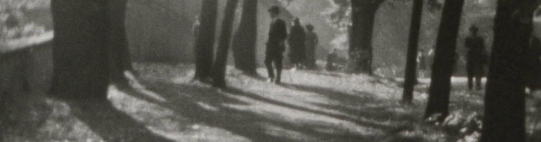 Fittko: Resistance and Exile