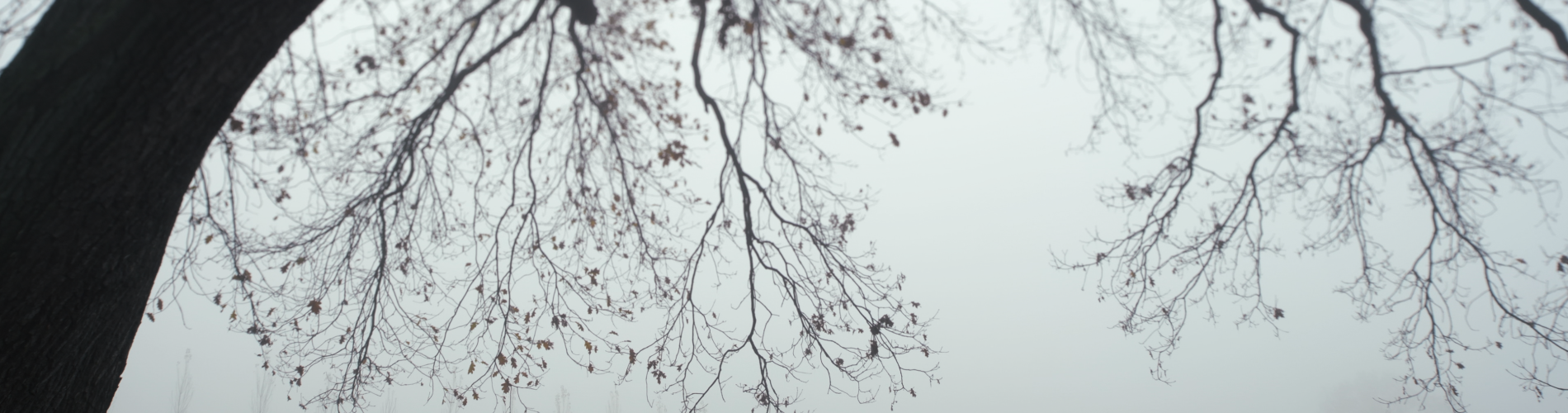 Unearthed