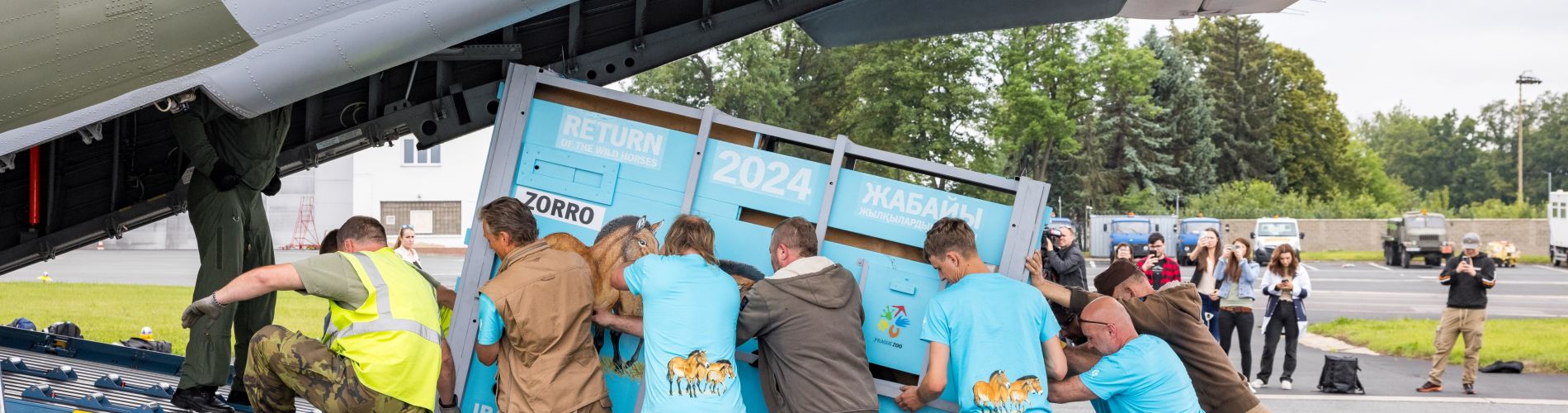 Return to the Golden Steppe