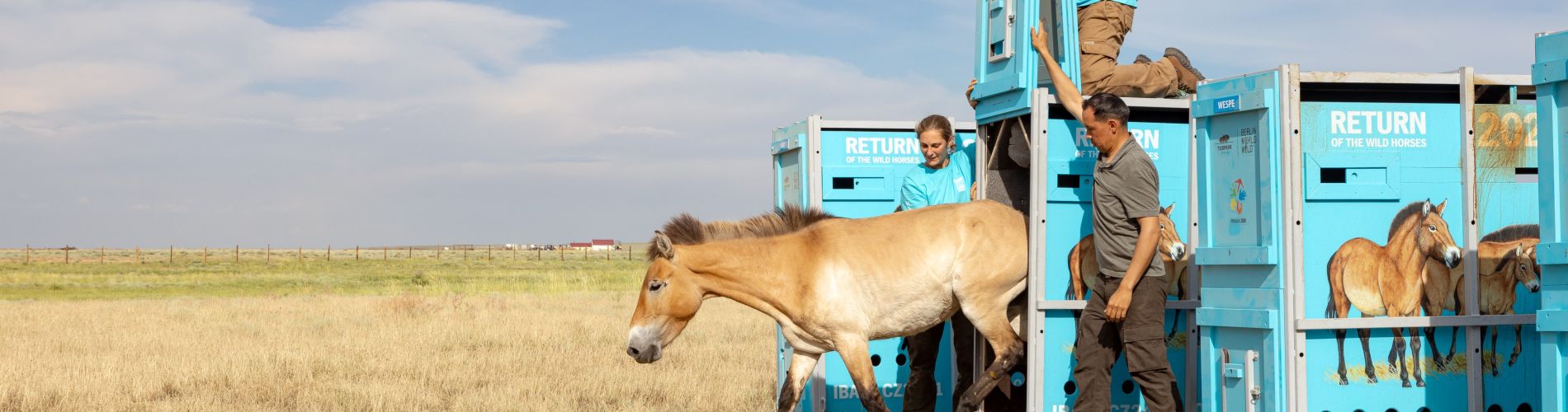 Return to the Golden Steppe
