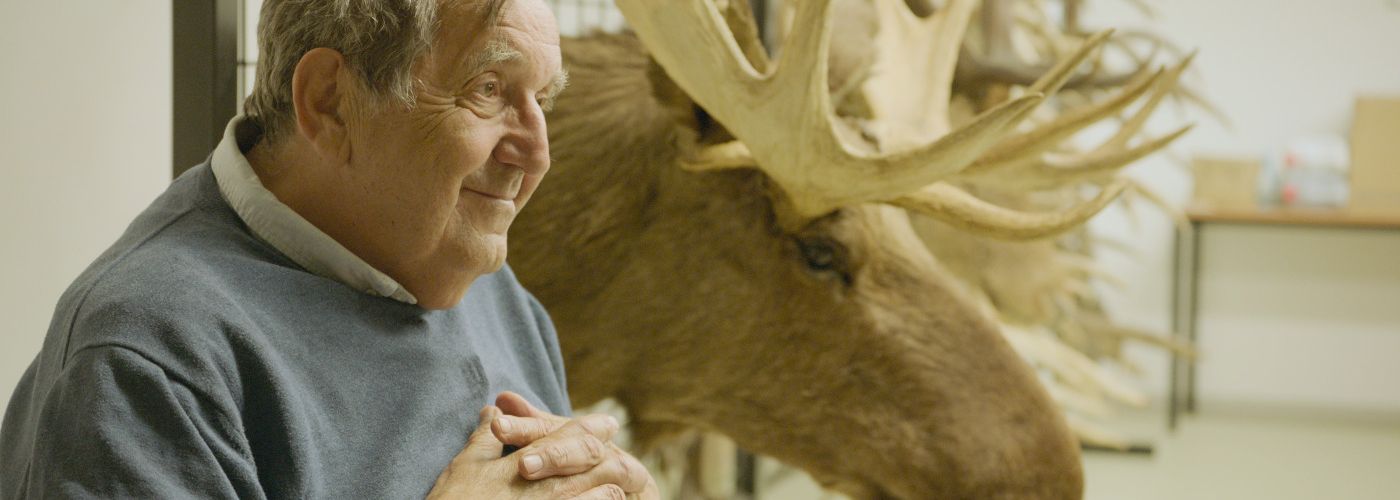 AMOOSED: a moose odyssey