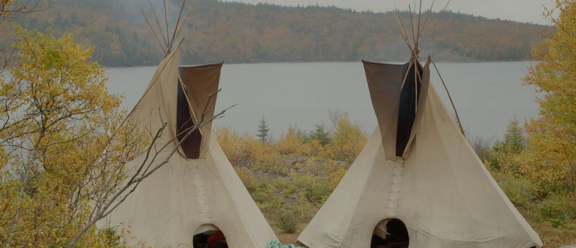 AMOOSED: a moose odyssey