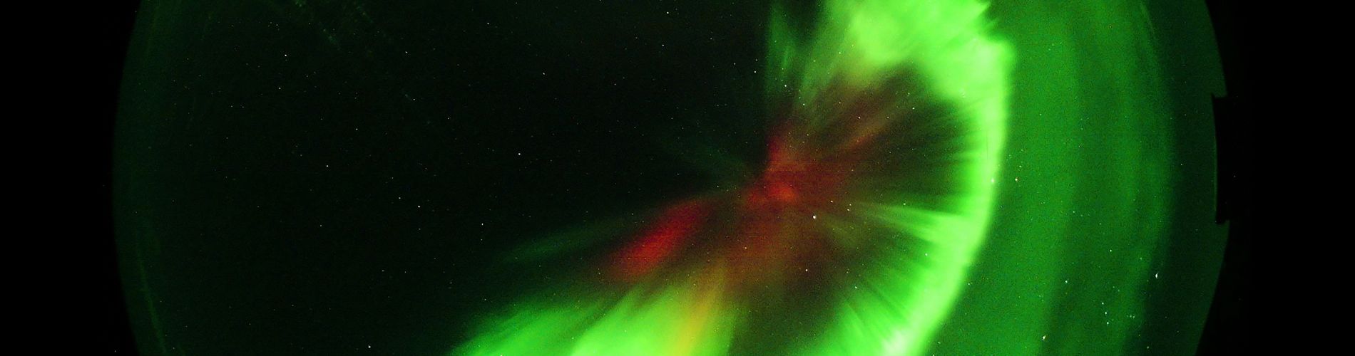 The Blood of Stars