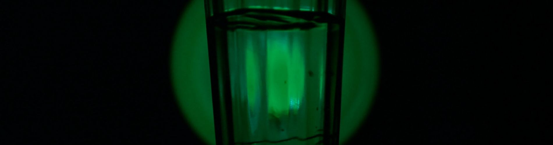 The Green Serpent – Of Vodka, Men and Distilled Dreams