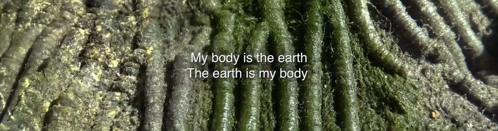 Ecology of the Body