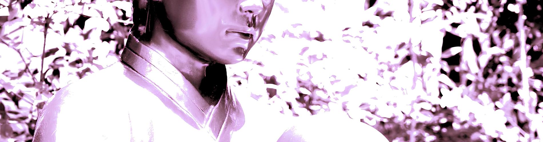 Erotic Blossoms in a Dream