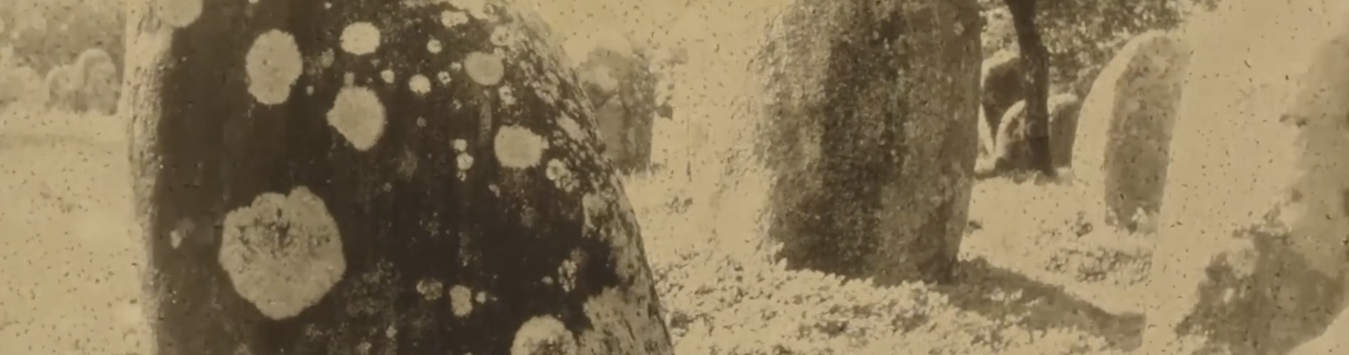 Composting Cinema: Essays on the Soil