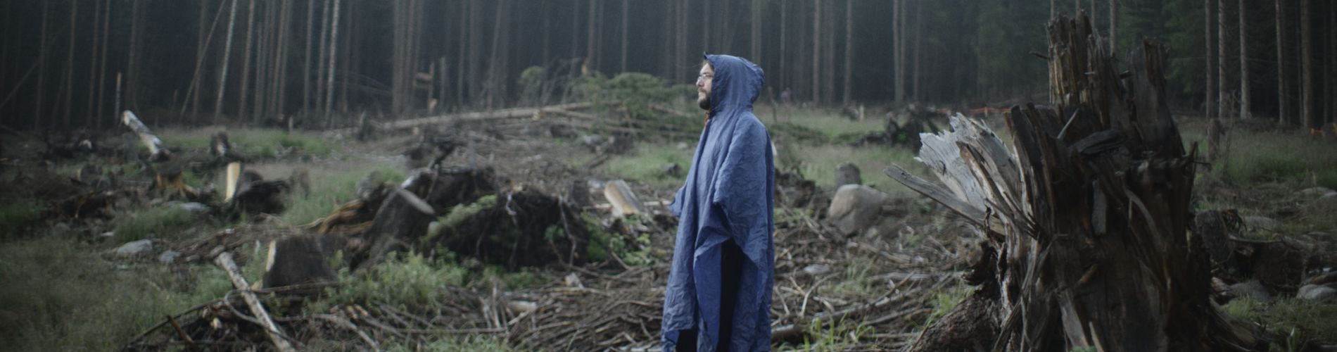 The Forest Code